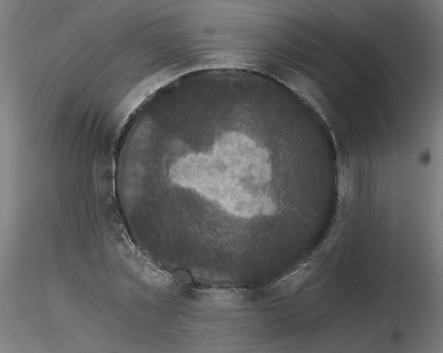 X0000116480781201001061119