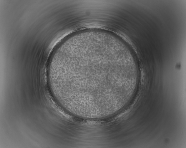 X0000116480782201001061119