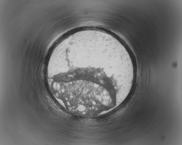 X0000116480783201001061119