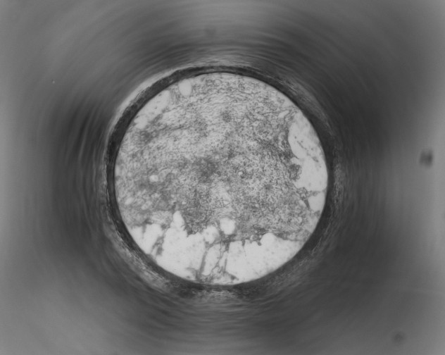 X0000116480784201001061119