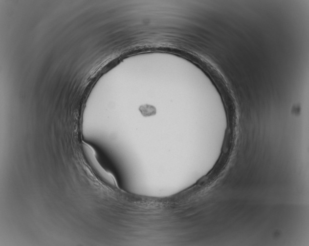 X0000116480785201001061119