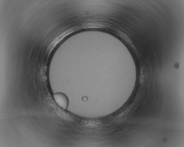 X0000116480786201001061119