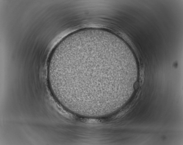 X0000116480787201001061119