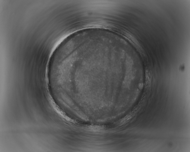 X0000116480788201001061119