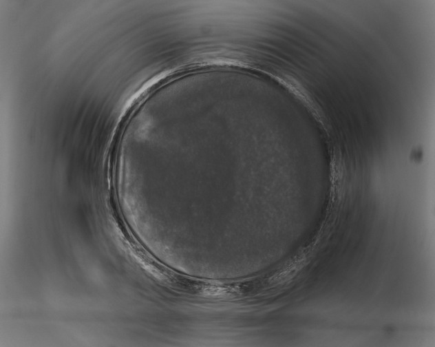 X0000116480790201001061119