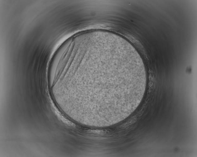 X0000116480792201001061119