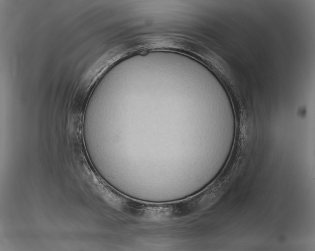 X0000116480793201001061119