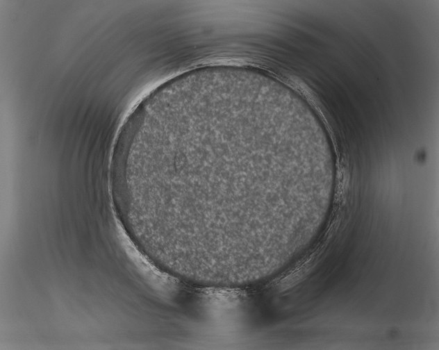 X0000116480795201001061119