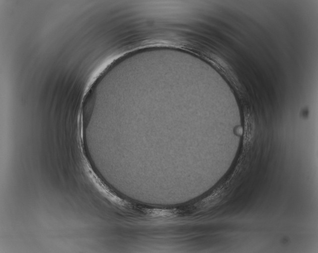 X0000116480796201001061119