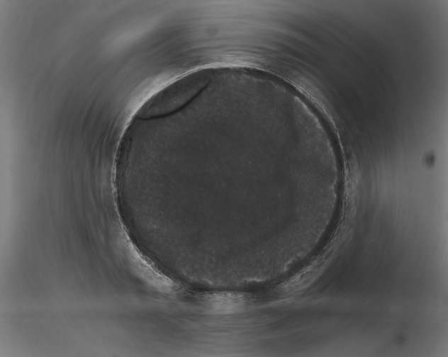 X0000116480797201001061119