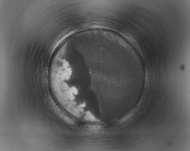 X0000116480798201001061119