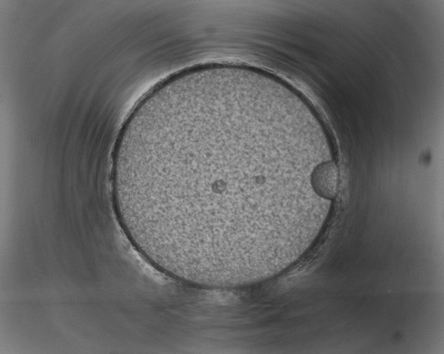 X0000116480799201001061119