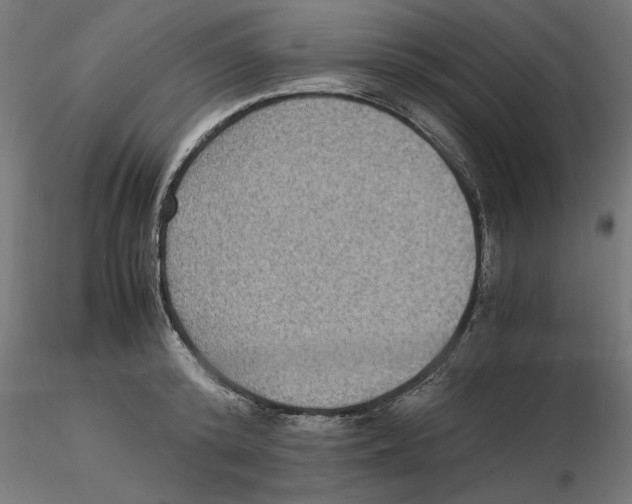 X0000116480800201001061119