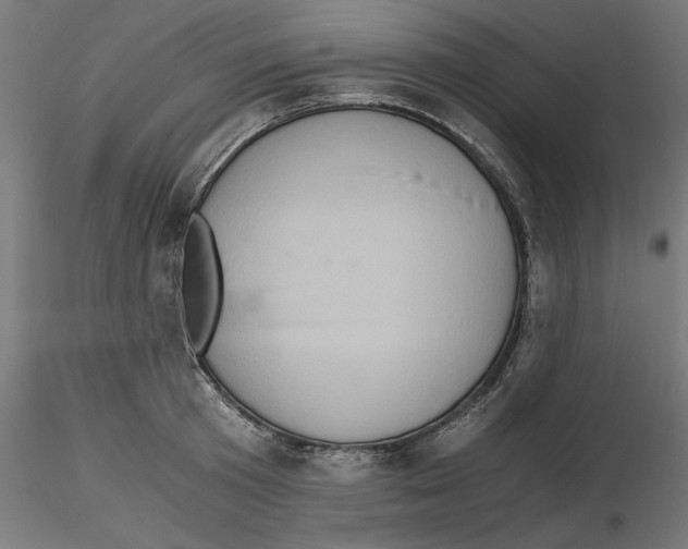 X0000116480801201001061119