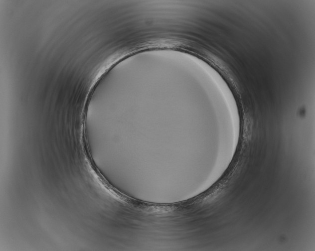 X0000116480802201001061119