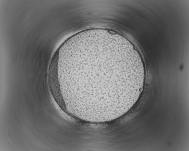 X0000116480803201001061119