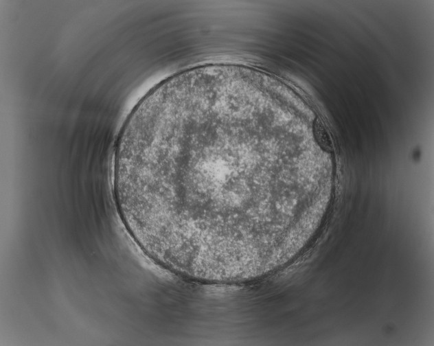 X0000116480804201001061119