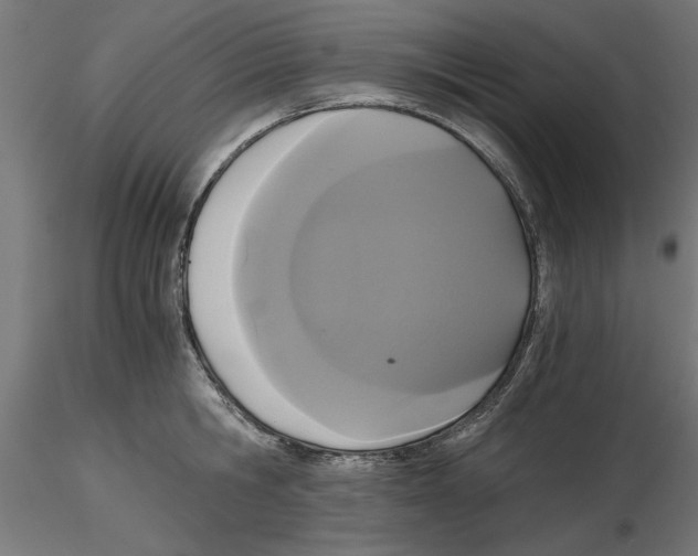 X0000116480806201001061119