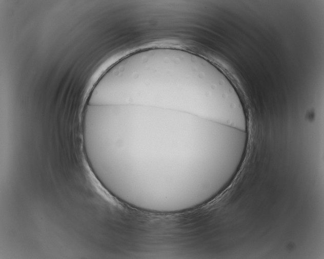 X0000116480808201001061119