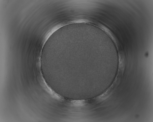 X0000116480810201001061119