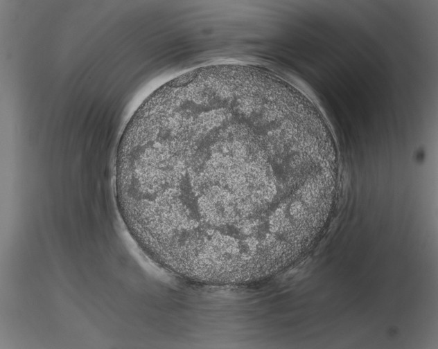 X0000116480811201001061119