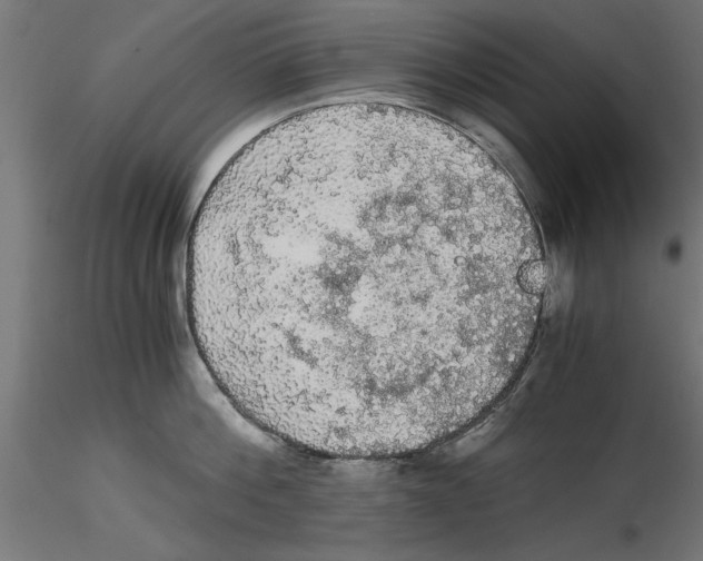 X0000116480812201001061119