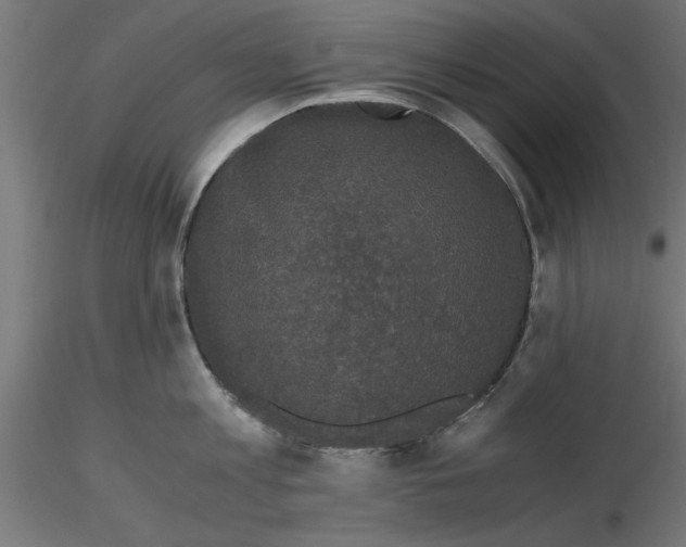 X0000116480813201001061119