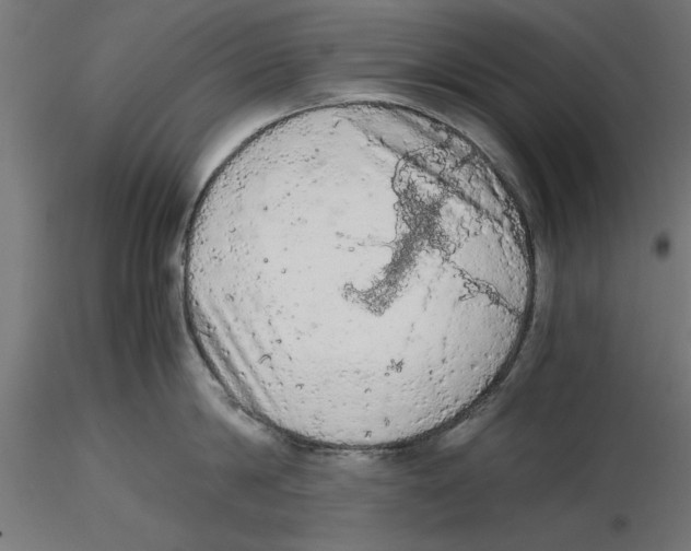 X0000116480814201001061119