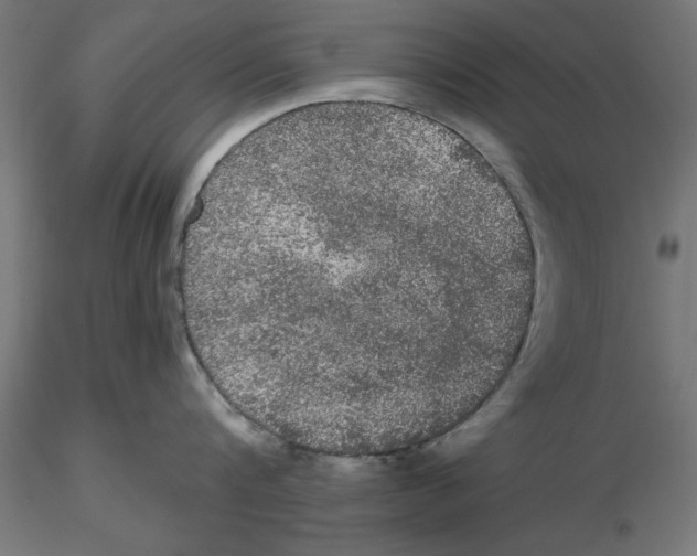 X0000116480816201001061119