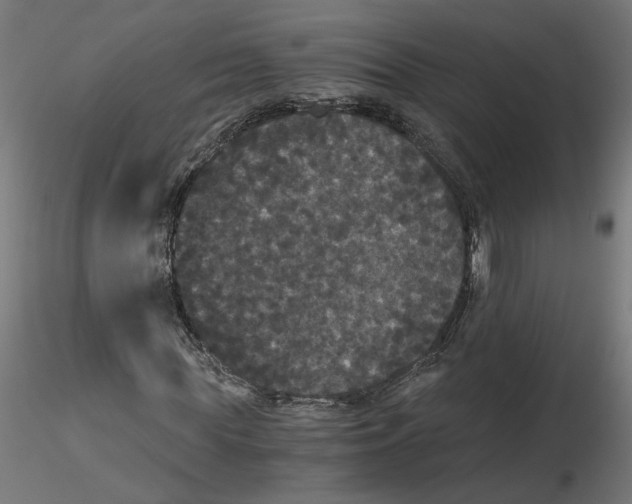 X0000116480819201001061118