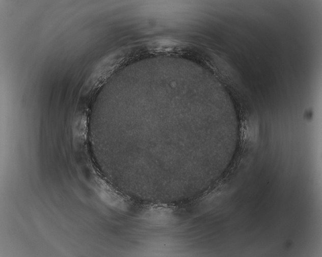 X0000116480820201001061118