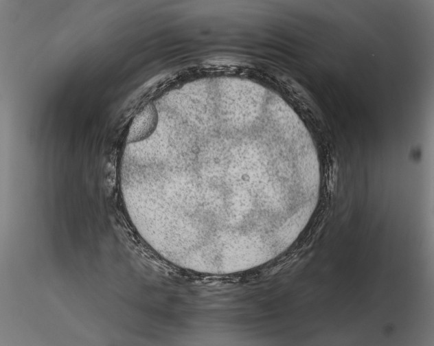 X0000116480821201001061118