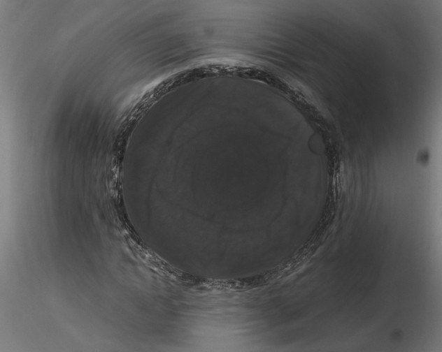 X0000116480822201001061118