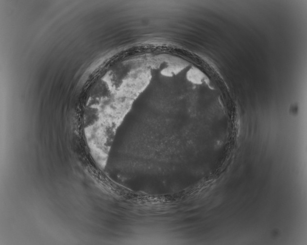 X0000116480823201001061118