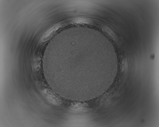 X0000116480824201001061118