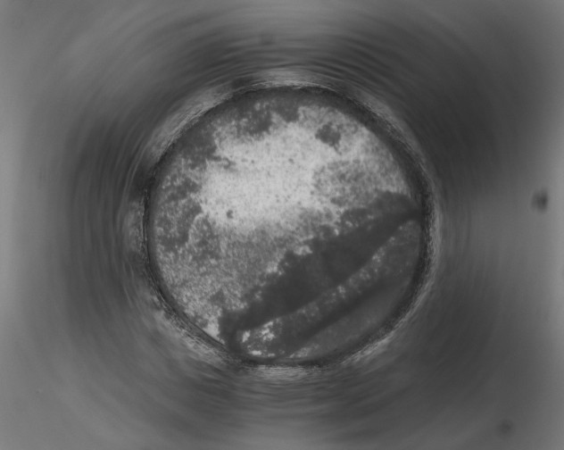 X0000116480825201001061118