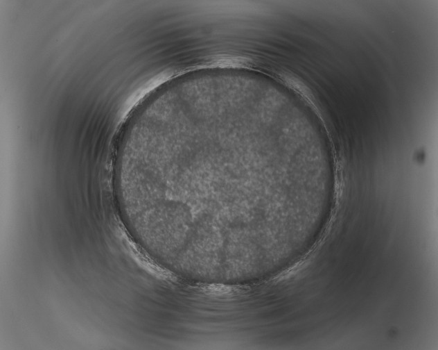 X0000116480827201001061118