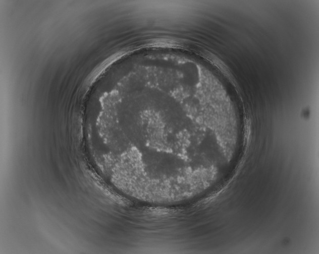 X0000116480829201001061118