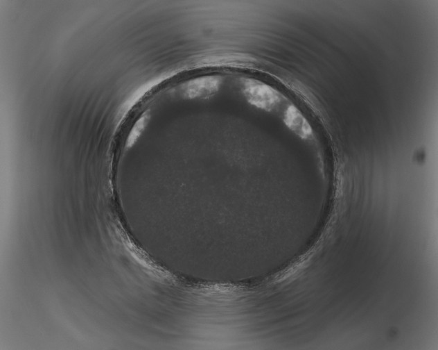 X0000116480830201001061118