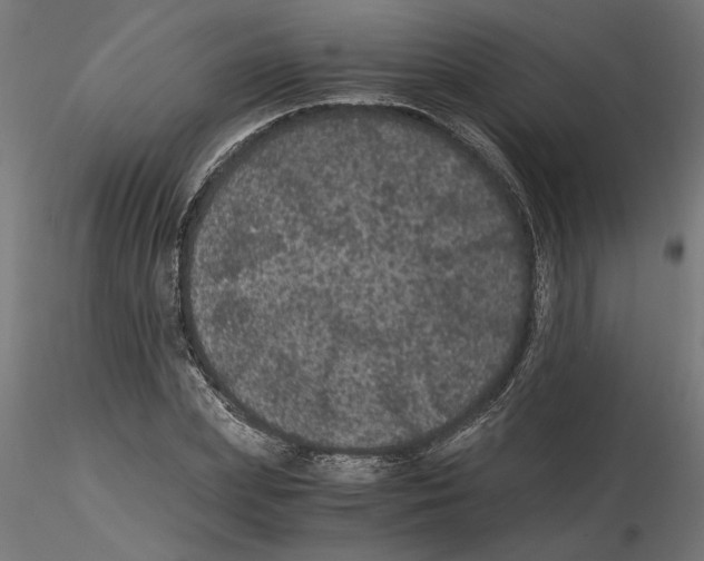 X0000116480831201001061118