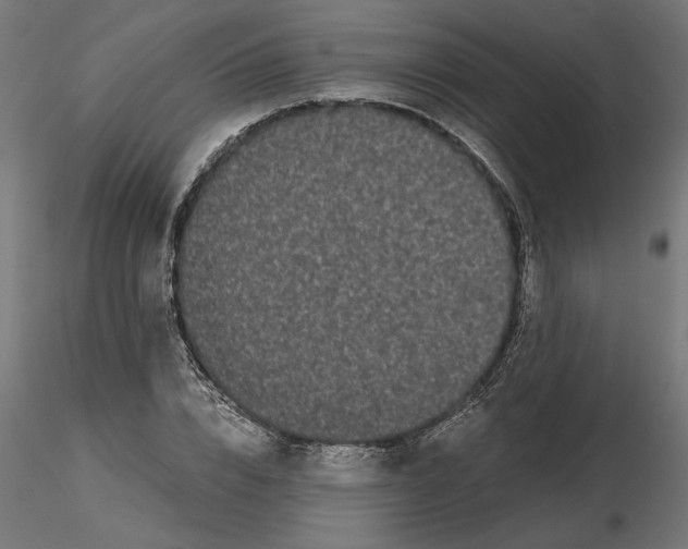 X0000116480832201001061118