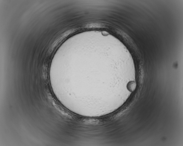 X0000116480833201001061118