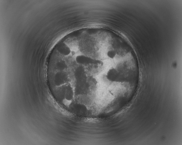 X0000116480835201001061118