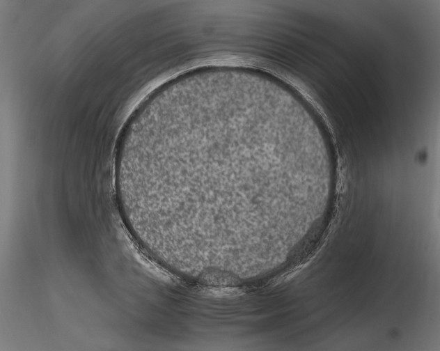 X0000116480837201001061118