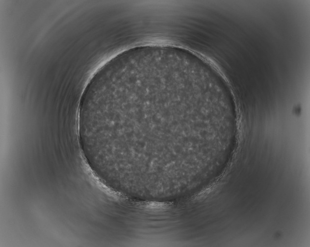 X0000116480839201001061118