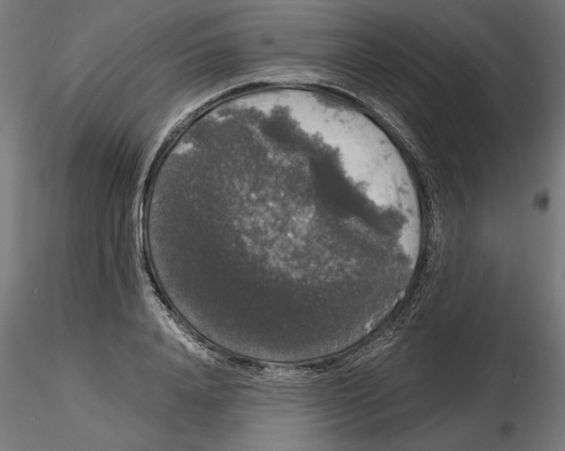 X0000116480840201001061118