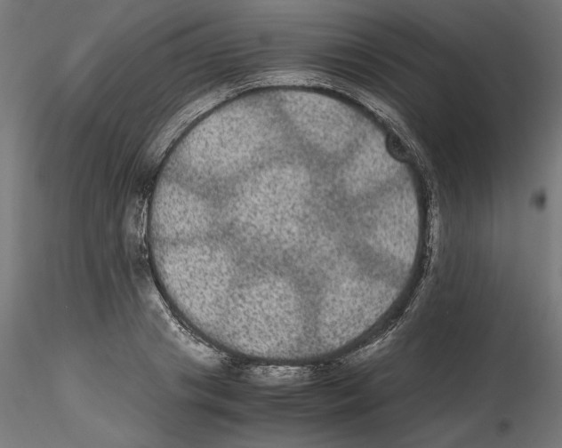 X0000116480841201001061118