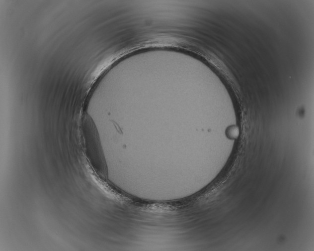 X0000116480842201001061118