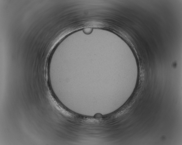 X0000116480843201001061118