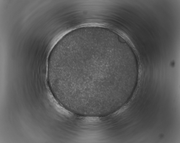 X0000116480844201001061118